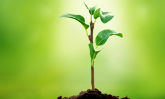 ATSC3.0發(fā)展回顧：行百里而九十？